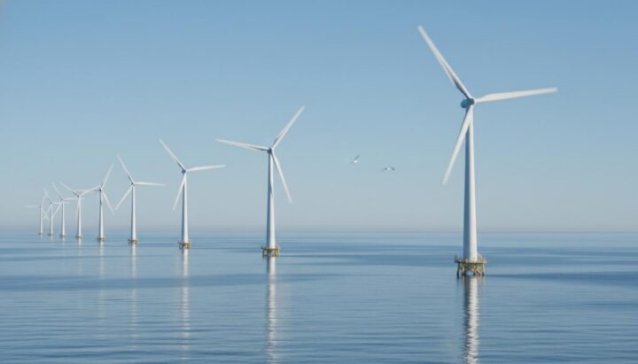 исследование: морская ветроэнергетика оказалась безопаснее для птиц, чем ожидалось