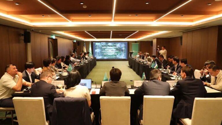 Узбекистан начинает подготовку к производству зеленого водорода